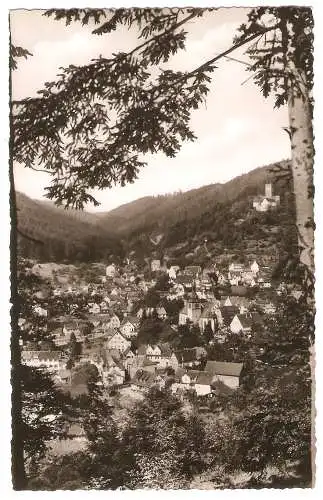 Ansichtskarte Deutschland - Bad Liebenzell - Ortspanorama mit Burg Liebenzell (2855)