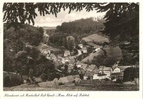 Ansichtskarte Deutschland - Bad Grund im Harz - Klimakurort und Moorheilbad (2856)