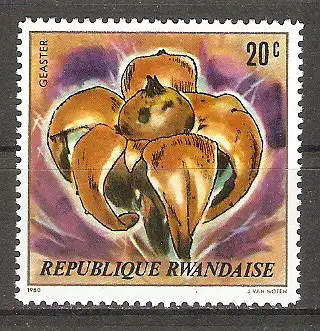 Briefmarke Ruanda Mi.Nr. 1051 ** Pilze 1980 / Erdstern (Geastrum) #