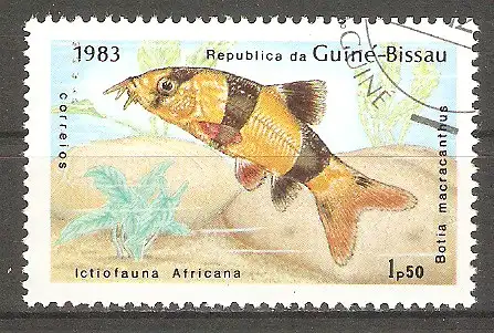 Briefmarke Guinea-Bissau Mi.Nr. 732 o Fische 1983 / Prachtschmerle (Botia macracanthus) #