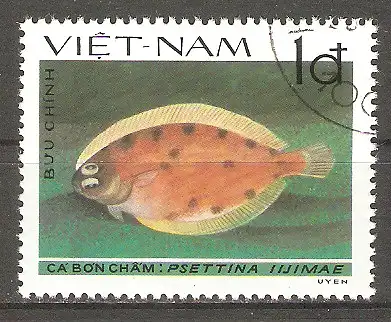 Briefmarke Vietnam Mi.Nr. 1279 o Plattfische 1982 / Psettina iijimae #