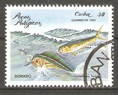 Briefmarke Cuba Mi.Nr. 2538 o Meeresfische 1981 / Goldmakrele (Coryphaena hippurus) #