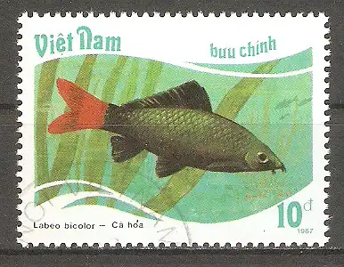 Briefmarke Vietnam Mi.Nr. 1897 o Fische 1988 / Feuerschwanz-Fransenlipper (Labeo bicolor) #