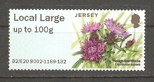 Briefmarke Jersey Automatenmarke Mi.Nr. 54 ** Pflanzen der Küstenregionen auf Jersey 2020 / Raue Flockenblume (Centaurea aspera) #