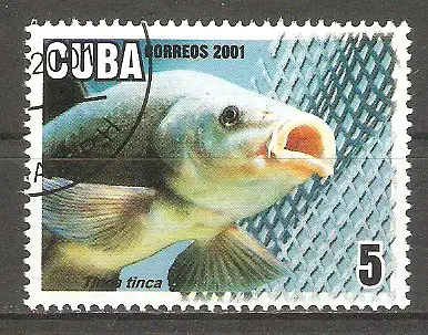 Briefmarke Cuba Mi.Nr. 4366 o Nahrungsmittelproduktion durch Aquakultur 2001 / Schleie (Tinca tinca) #