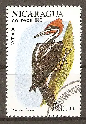 Briefmarke Nicaragua Mi.Nr. 2217 o Vögel 1981 / Streifenkehlhelmspecht (Dryocopus lineatus) #