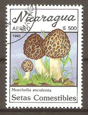 Briefmarke Nicaragua Mi.Nr. 3001 o Pilze 1990 / Speise-Morchel (Morchella esculenta) #