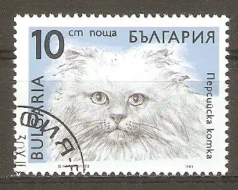 Briefmarke Bulgarien Mi.Nr. 3812 o Katzen 1989 / Perserkatze #