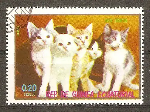 Briefmarke Äquatorial-Guinea Mi.Nr. 1019 o Katzenjunge 1976 / Katzen #