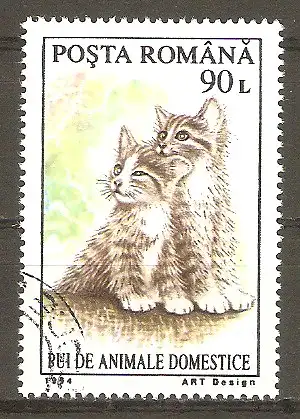 Briefmarke Rumänien Mi.Nr. 5055 o Junge Haustiere 1994 / Kätzchen #