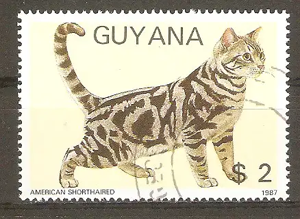 Briefmarke Guyana Mi.Nr. 2085 o Katzen 1988 / Amerikanische Kurzhaarkatze #