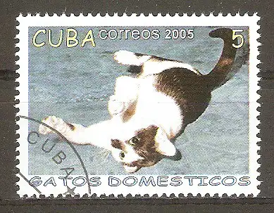 Briefmarke Cuba Mi.Nr. 4700 o Hauskatzen 2005 / Katze wälzt sich auf dem Teppich #