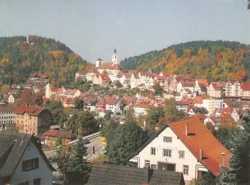 Ansichtskarte Deutschland - Horb am Neckar - Stadtansicht von Süden (2888)