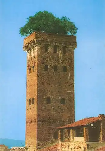 Ansichtskarte Italien - Lucca -Guinigi Turm (2896)