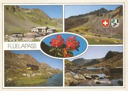 Ansichtskarte Schweiz - Flüelapass - Mehrbildkarte (2911)