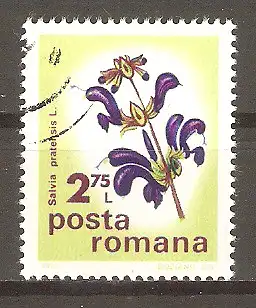 Briefmarke Rumänien Mi.Nr. 3289 o 12. Internationale Botaniker-Konferenz – Feldblumen 1975 / Wiesensalbei (Salvia pratensis) #