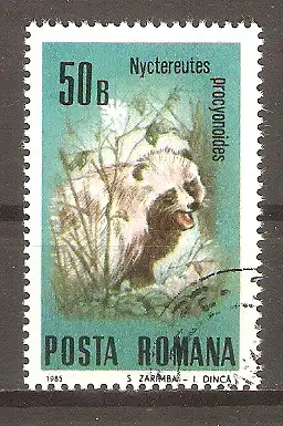 Briefmarke Rumänien Mi.Nr. 4133 o Geschützte Tiere 1985 / Marderhund (Nyctereutes procyonoides) #