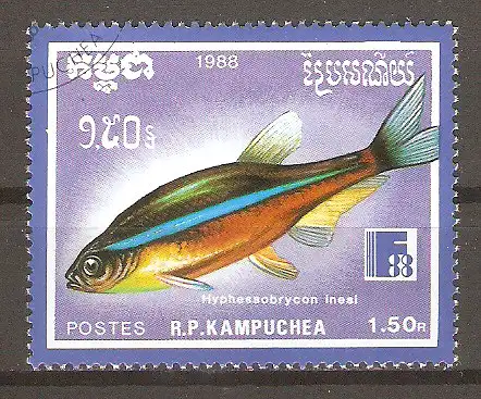 Briefmarke Kambodscha Mi.Nr. 958 o Zierfische 1988 / Neonsalmler (Hyphessobrycon innesi) #