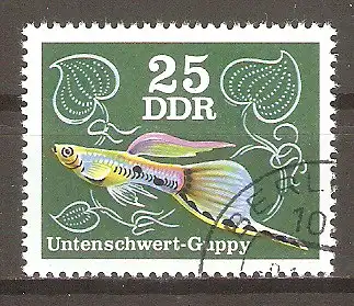 Briefmarke DDR Mi.Nr. 2179 o Zierfische 1976 / Untenschwert-Guppy #