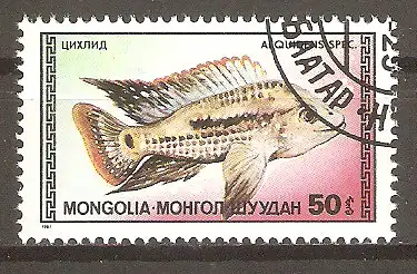 Briefmarke Mongolei Mi.Nr. 1839 o Zierfische 1987 / Buntbarsch (Aequidens spec.) #