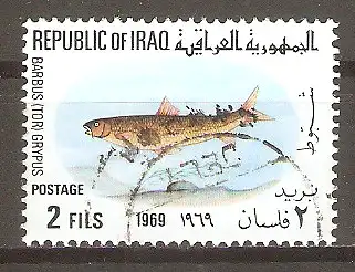 Briefmarke Irak Mi.Nr. 548 o Fische 1969 / Mahasser-Barbe (Barbus grypus) #