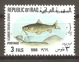 Briefmarke Irak Mi.Nr. 549 o Fische 1969 / Indische Barbe (Barbus puntius sharpeyi) #