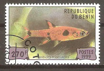 Briefmarke Benin Mi.Nr. 1166 o Beliebte Aquarienfische 1999 / Zwergbärbling (Rasbora maculata) #
