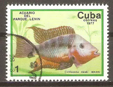 Briefmarke Cuba Mi.Nr. 2202 o Aquarium des Lenin-Parks 1977 / Feuermaulbuntbarsch (Thorichthys meeki) #
