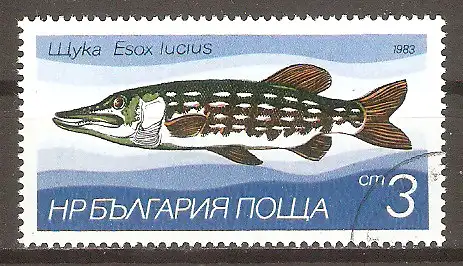 Briefmarke Bulgarien Mi.Nr. 3158 o Süßwasserfische 1983 / Hecht (Esox lucius) #