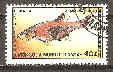 Briefmarke Mongolei Mi.Nr. 1838 o Zierfische 1987 / Rasbora-Bärbling (Rasbora hengeli) #