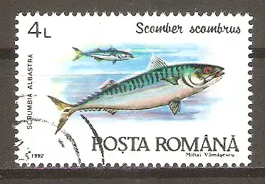 Briefmarke Rumänien Mi.Nr. 4776 o Fische 1992 / Makrele (Scomber scombrus) #
