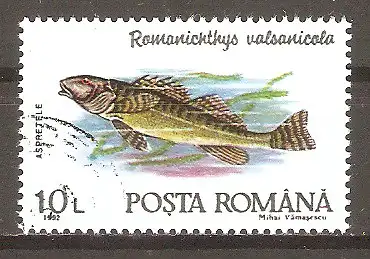 Briefmarke Rumänien Mi.Nr. 4779 o Fische 1992 / Groppenbarsch (Romanichthys valsanicola) #