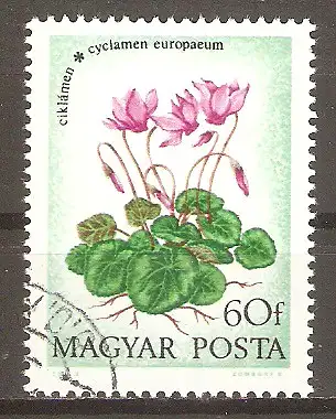 Briefmarke Ungarn Mi.Nr. 2888 A o Feldblumen 1973 / Europäisches Alpenveilchen (Cyclamen purpurascens) #