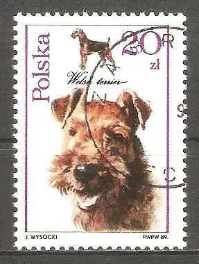 Briefmarke Polen Mi.Nr. 3200 o Hunde 1989 / Airedaleterrier #