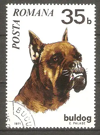 Briefmarke Rumänien Mi.Nr. 2909 o Hunde 1971 / Bulldogge #