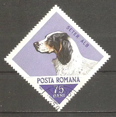 Briefmarke Rumänien Mi.Nr. 2475 o Jagdhunde 1965 / Englischer Setter #