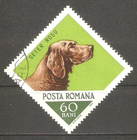 Briefmarke Rumänien Mi.Nr. 2474 o Jagdhunde 1965 / Irischer Setter #