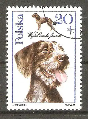 Briefmarke Polen Mi.Nr. 3199 o Hunde 1989 / Tschechischer Vorstehhund #