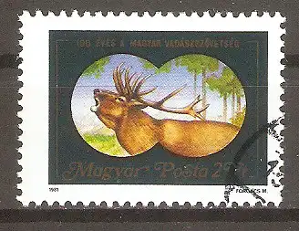 Briefmarke Ungarn Mi.Nr. 3492 A o 100 Jahre Ungarischer Jägerbund 1981 / Röhrender Rothirsch #
