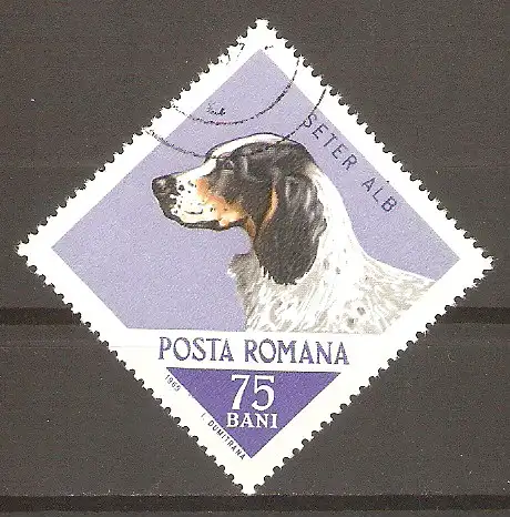 Briefmarke Rumänien Mi.Nr. 2475 o Jagdhunde 1965 / Englischer Setter #