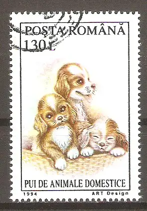 Briefmarke Rumänien Mi.Nr. 5056 o Junge Haustiere 1994 / Hundewelpen #