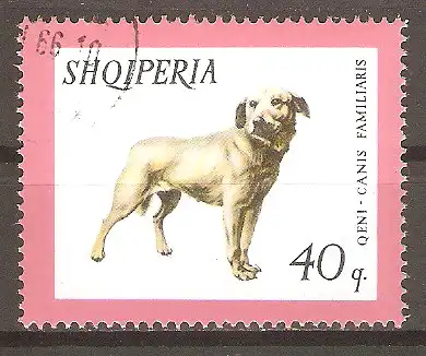 Briefmarke Albanien Mi.Nr. 1032 o Haustiere 1966 / Istrianer Bracke #