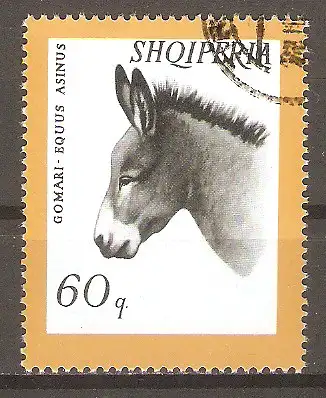 Briefmarke Albanien Mi.Nr. 1035 o Haustiere 1966 / Hausesel (Equus asinus asinus) #