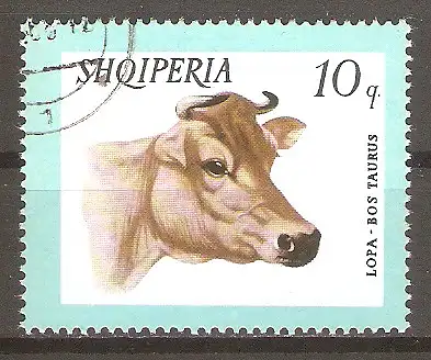 Briefmarke Albanien Mi.Nr. 1028 o Haustiere 1966 / Hausrind (Bos primiganius taurus) #