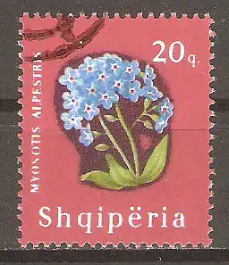Briefmarke Albanien Mi.Nr. 989 o Blütenpflanzen 1965 / Alpen-Vergissmeinnicht (Myosotis alpestris) #