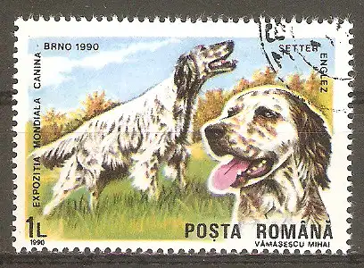 Briefmarke Rumänien Mi.Nr. 4604 o Internationale Hundeausstellung Brünn 1990 / Englischer Setter #