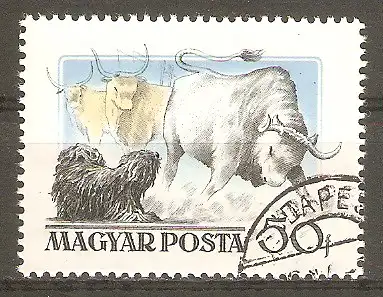 Briefmarke Ungarn Mi.Nr. 1461 o Ungarische Hunderassen 1956 / Puli mit Rindern #