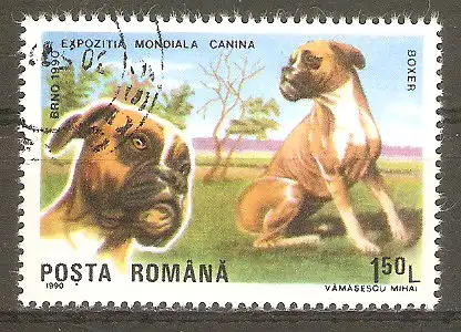 Briefmarke Rumänien Mi.Nr. 4605 o Internationale Hundeausstellung Brünn 1990 / Boxer #