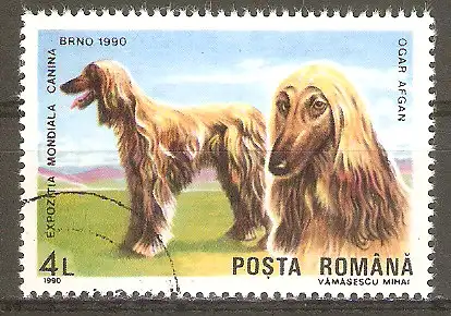 Briefmarke Rumänien Mi.Nr. 4609 o Internationale Hundeausstellung Brünn 1990 / Afghane #