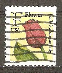 Briefmarke USA Mi.Nr. 2116 Dr (gez. K 11¼) o Freimarke zur Briefportoerhöhung 1991 / Tulpe #